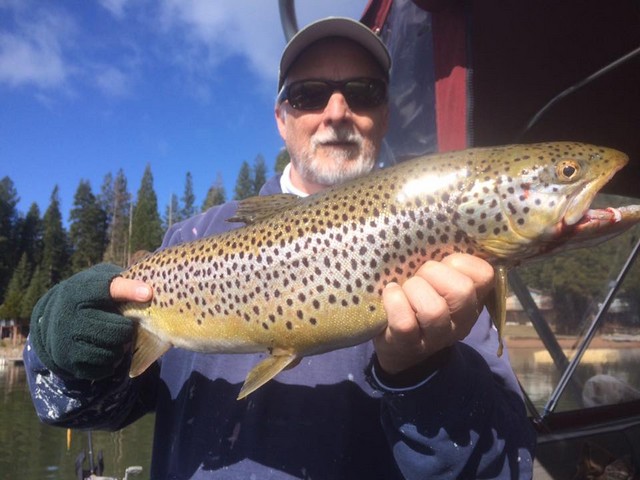 John used a Rapala minnow plug trolled quickly to fool this big Almanor brown on March 27. The fish was successfully release after the photo.
