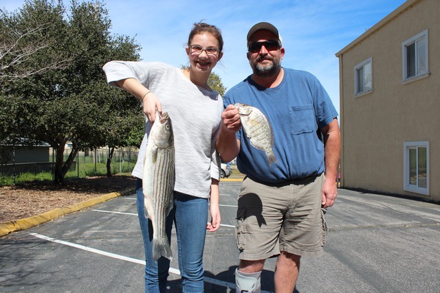 Rosie Teresi caught this 5 lb. 8 oz striper while fishing a sandworm off Seabright Beach with her father, Nino, who nailed this surfperch.