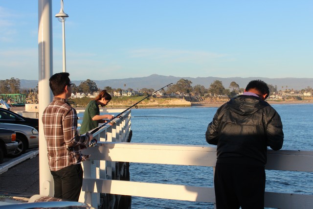 The Santa Cruz Municipal Wharf and other piers and jetties in the Monterey Bay area offer a great opportunity for anglers to pursue surfperch and other fish species.