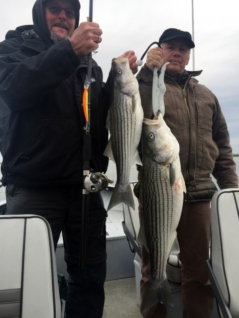 Striper Rod