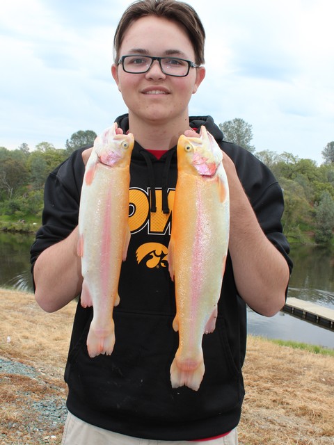 Zack Darnell shows off two Lighting Trout that he caught while fishing PwoerBait in the Jackson Creek arm of Lake Amador on March 18.