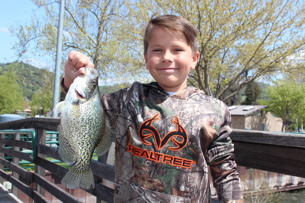 Clear Lake Crappie On Big Spring Bite