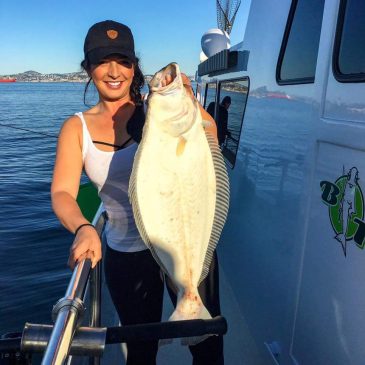 Halibut Boom In Recent Decades Is Result Of Efforts By Anglers