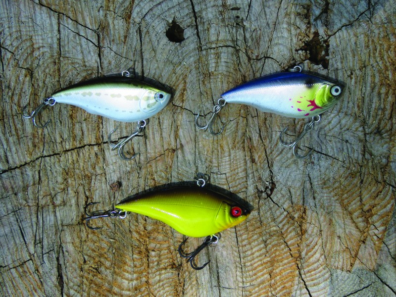 Vibrating crankbaits like these Yo-Zuris are super versatile. You can fish them slow, burn them fast, explore deep water or hammer the shallows with them. If there are active bass in the vicinity, a vibrating crankbait will likely trigger them. 