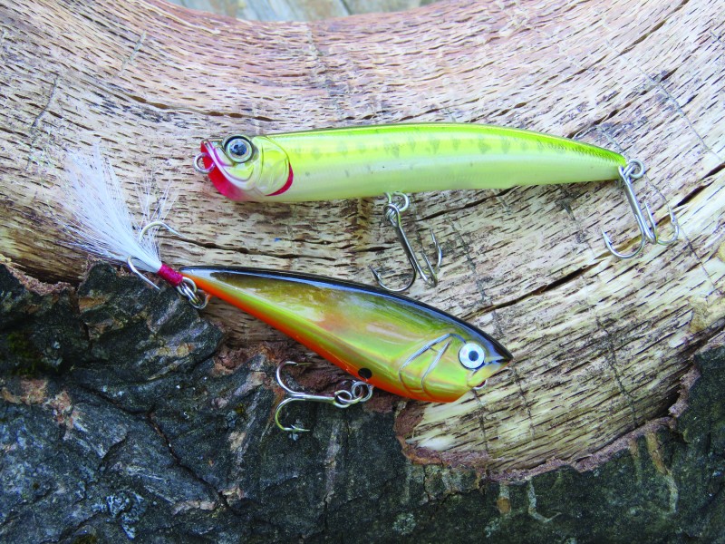 These Yo-Zuri poppers are two of author Cal Kellogg’s go to topwater baits. Poppers are easy to use. If the bass are active and chasing, work them quickly. If the bass don’t react to a quickly moving bait, slow down, work methodically and keep that popper in the strike zone.