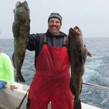 Cal Kellogg School Of Fishing Teams Up With Capt. Quang Vo For Epic Bottomfish Action At The Farallons!