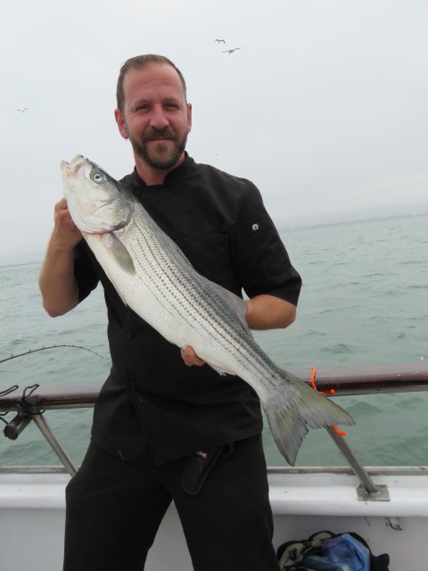 Chef Marc took a break from the galley on the California Dawn and posed for a photo with this beautiful 11 pound S.F. Bay striper.