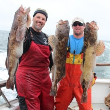 CSBA Members Rockfish & Lingcod Limits At Farallon Islands