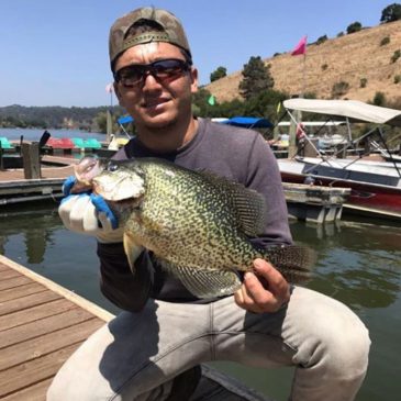 Lake Chabot Crappie Record Shattered!