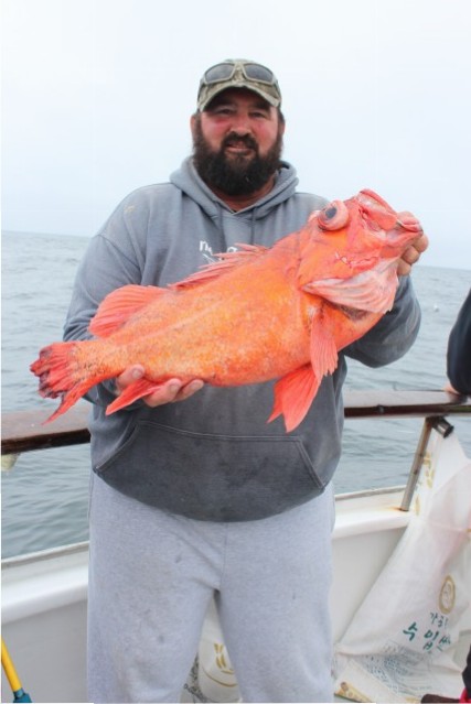 Dave Newton caught this huge vermillion rockfish aboard the California Dawn.
