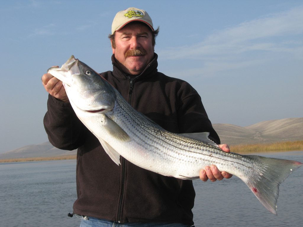 The No. 1 Rig For Delta Striper & Sturgeon Fishing 