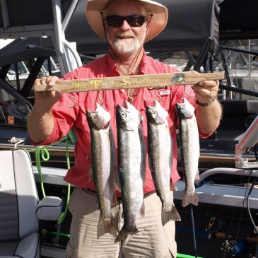 Shasta Fall Trout Derby – Tough Bite But Very Large Trout!