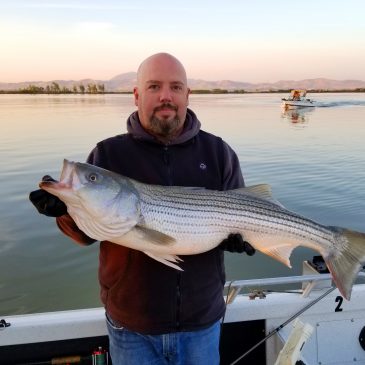 Stripers and Sturgeon and Salmon, Oh My!