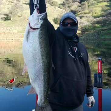 14 Lb. Rainbow Trout Shatters New Melones Lake Record!