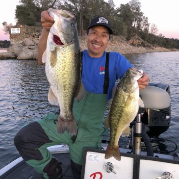 Lake Camanche Bass Fishing Great for Numbers & Size