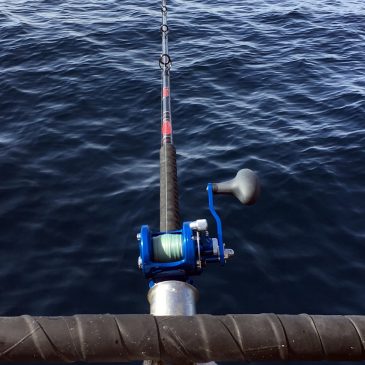 Check Out The Cousins Tackle CPX Rod Lineup