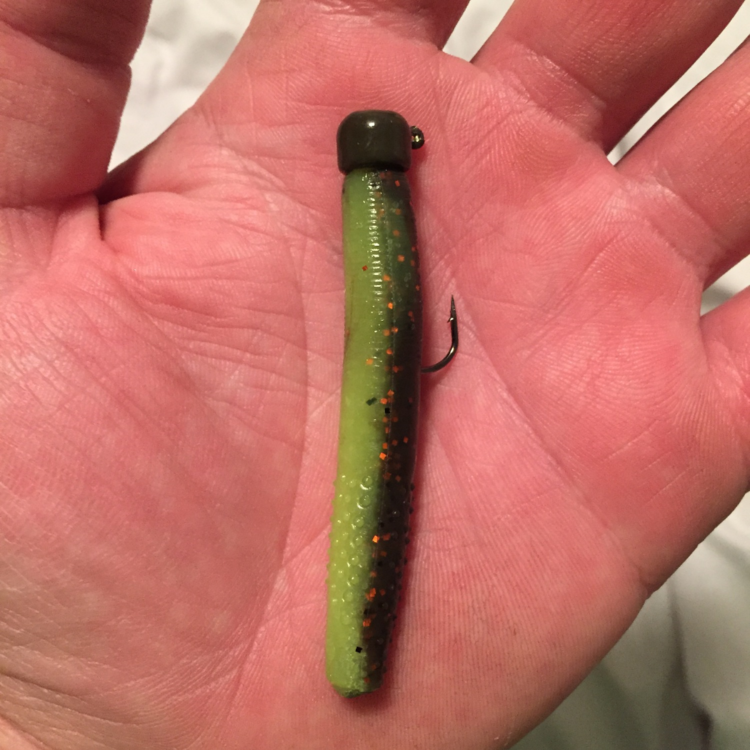 Are You Throwing a Ned Rig for Bass?