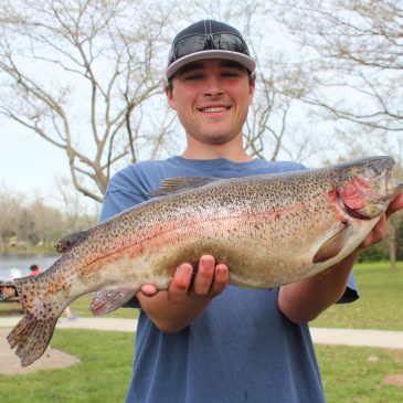 SMUD Rancho Seco Derby Delivers Lots of Large Rainbows