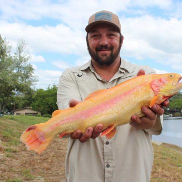 Lake Amador Delivers Big Rainbow and Lightning Trout