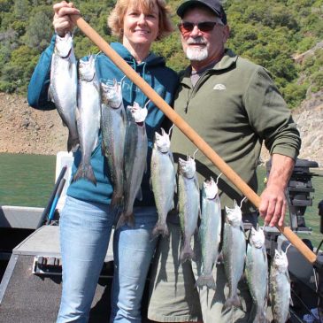 Lake Oroville Kings Are Back in Force!