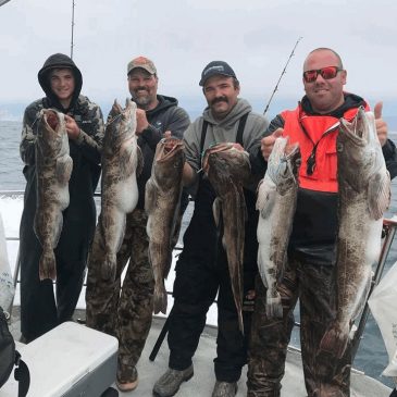 2018 High Roller Lingcod Derby: Big Seas, Determined Anglers & Monster Lings!