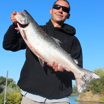 Salmon Fishing Shifts into High Gear on Sacramento from the Delta to the Capitol