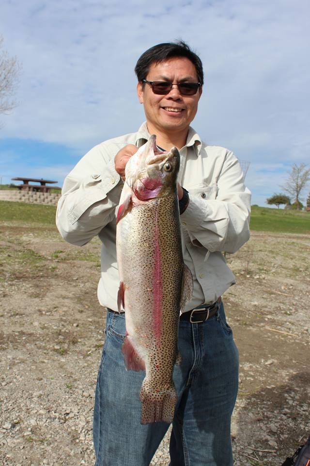 Quarry Lakes Regional Recreation Area Offers Trout, Catfish & Black Bass