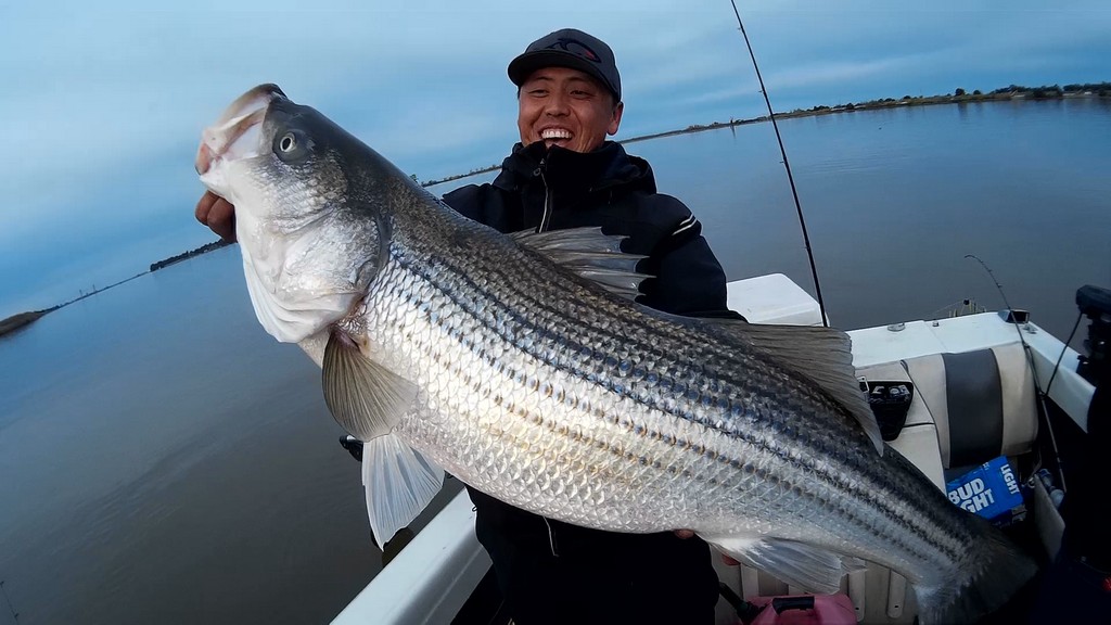 Port of West Sacramento Delivers Stripers, Catfish and Black Bass