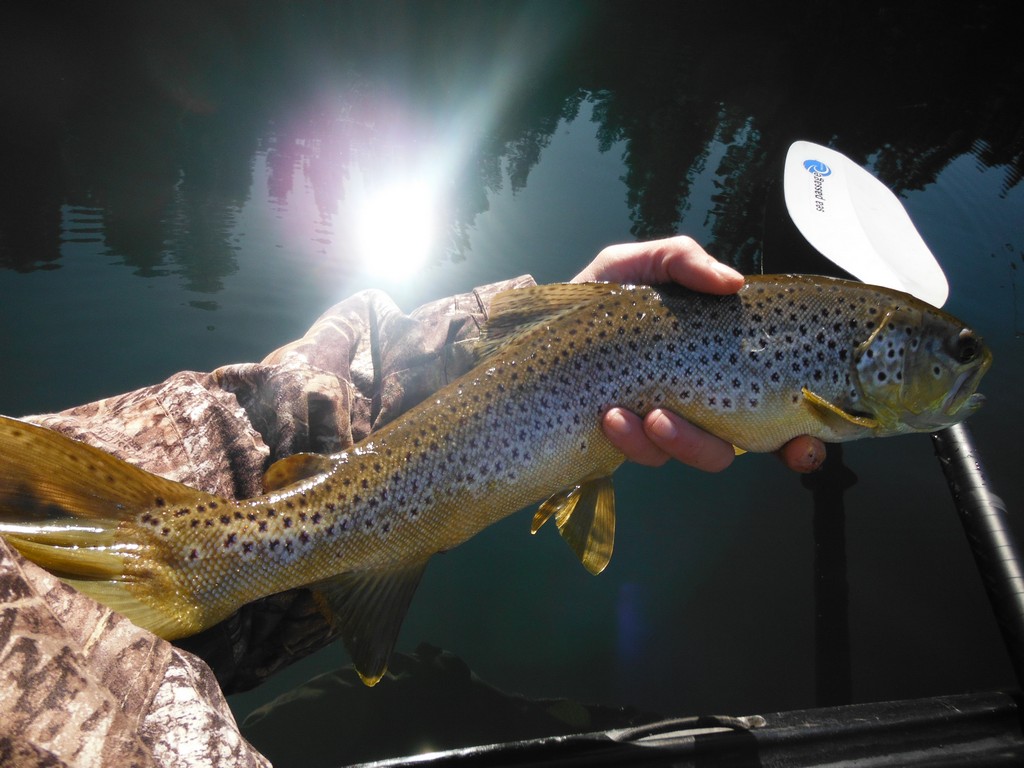 Off The Radar Trout Destinations For The NorCal Kayaker