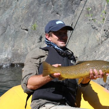 The Middle American: Norcal’s Most Overlooked Trout Fishery!