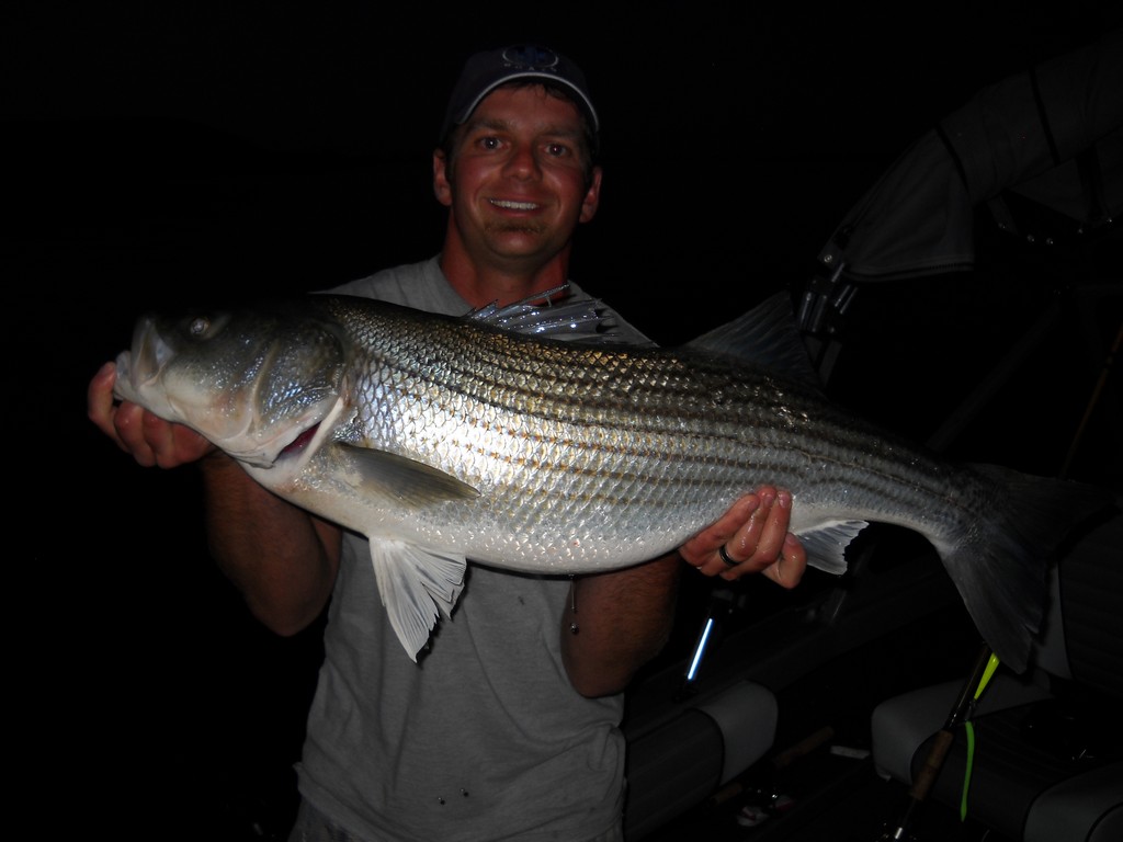 Gone Fishing 2 web 1 The Hardest Fighting Freshwater Fish