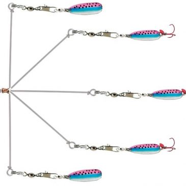A-Rigs for Salmon?