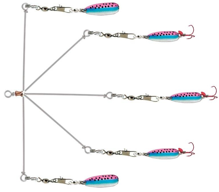 A-Rigs for Salmon?