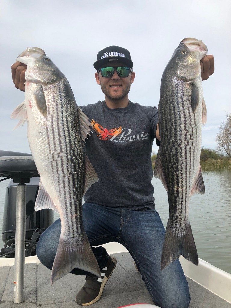 Spring Back Bay Striper Fishing 