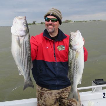 Get Your Troll On For Delta Stripers!