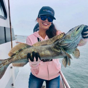 My First Lingcod Hunt Aboard The Pacific Dream!