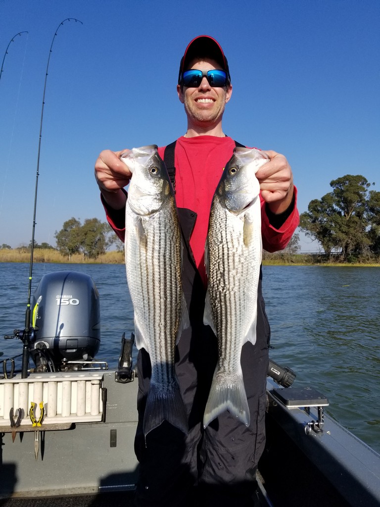 Advanced Trolling Techniques for Spring Stripers
