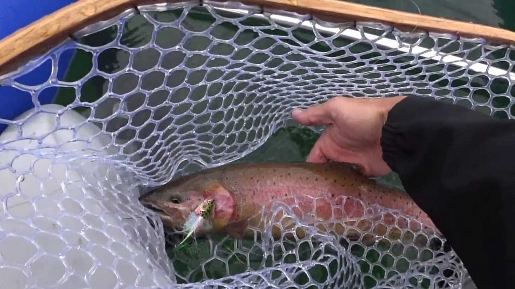 Yak It Up: Trolling for Trout - The Fisherman