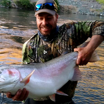 Angler Bags 25.25 Lb. Rainbow in Diversion Pool Below Oroville Dam