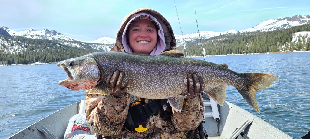 Lake Trout survey - Ice Fishing Forum - Ice Fishing Forum