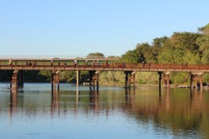 Exploring the Mysteries of American River Shad During the Time of ...