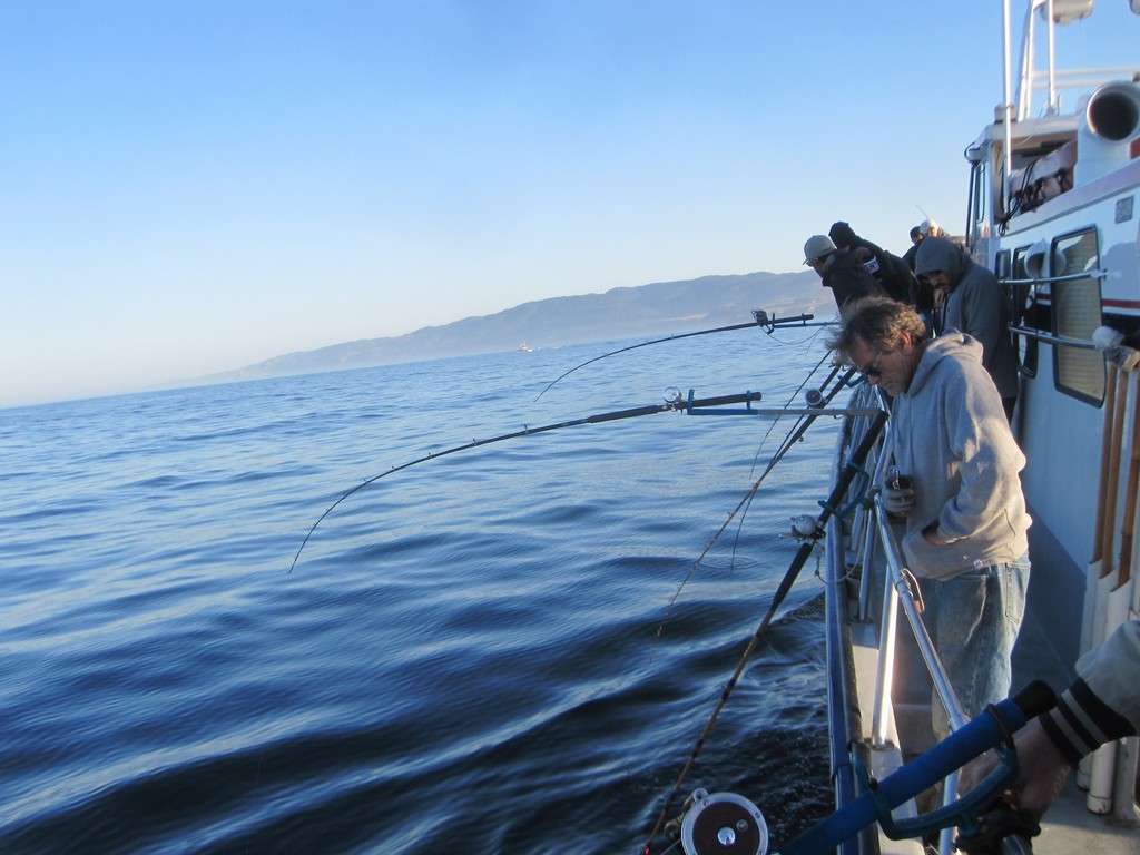 Salmon Are Biting! Here's How To Get Kings From The Deck Of A