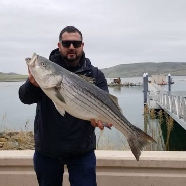 Big Catfish and Stripers Highlight Los Vaqueros Reservoir Reopening