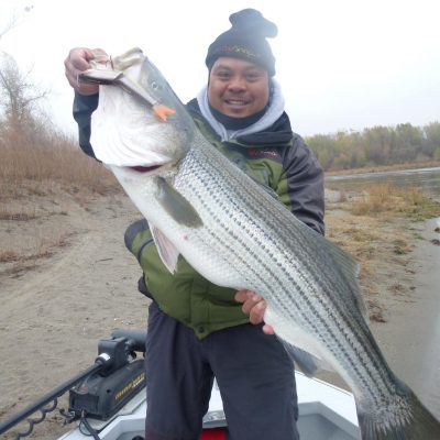 An Introduction to Plugging for Stripers