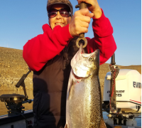 Lake Amador - Deep Trolling Produces Trout Limits & Lake Oroville - Mother’s Day Salmon