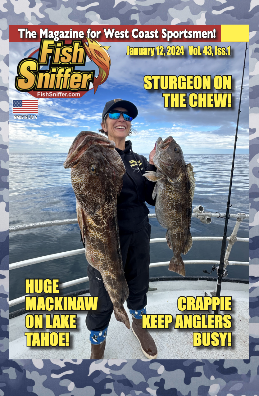 San Joaquin River Largemouths Offer Solid Action